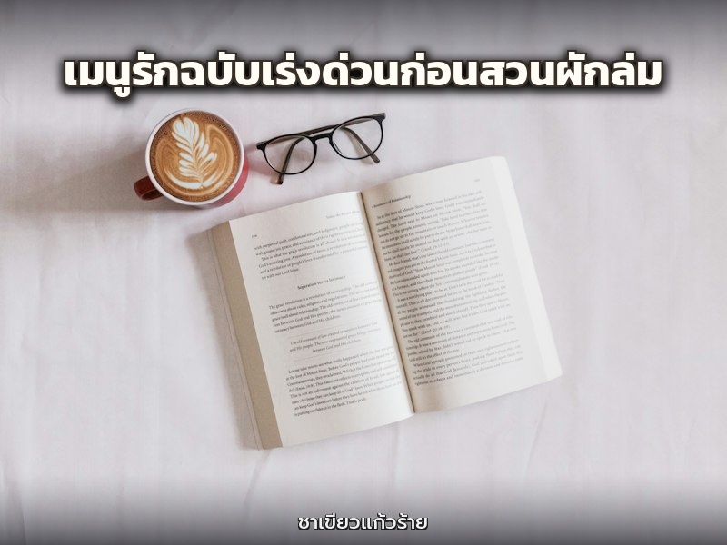 เมนูรักฉบับเร่งด่วนก่อนสวนผักล่ม